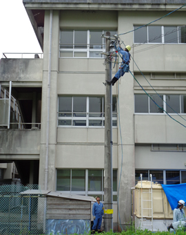 有限会社　藤本電気