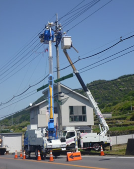 琴平電工　有限会社