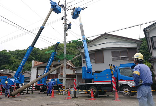 有限会社　野並電工