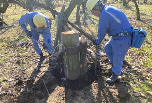 有限会社　周桑電機工業所